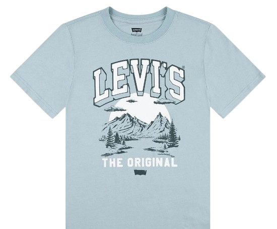 LEVI BOY MOUNTAIN SCENE T SHIRT BLUE